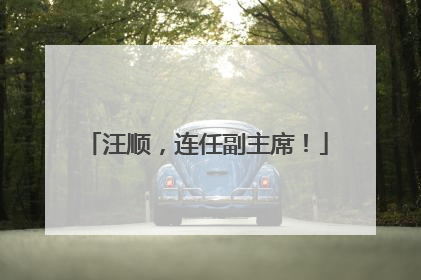 汪顺，连任副主席！