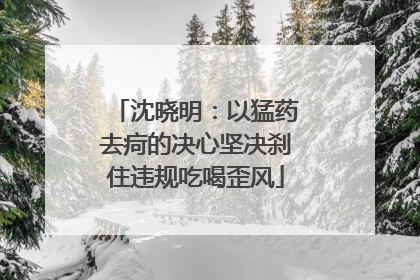 沈晓明：以猛药去疴的决心坚决刹住违规吃喝歪风