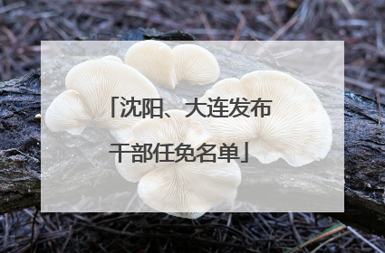 沈阳、大连发布干部任免名单