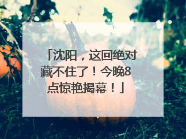 沈阳，这回绝对藏不住了！今晚8点惊艳揭幕！