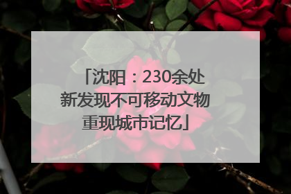 沈阳：230余处新发现不可移动文物重现城市记忆