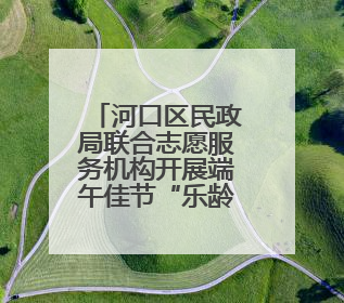 河口区民政局联合志愿服务机构开展端午佳节“乐龄守望”探访活动