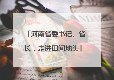 河南省委书记、省长，走进田间地头