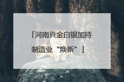河南真金白银加持制造业“焕新”