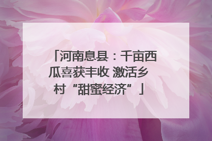 河南息县：千亩西瓜喜获丰收 激活乡村“甜蜜经济”