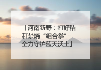 河南新野：打好秸秆禁烧“组合拳” 全力守护蓝天沃土