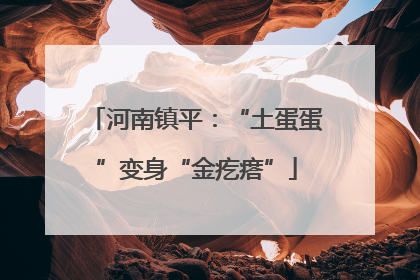 河南镇平：“土蛋蛋”变身“金疙瘩”