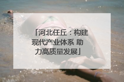 河北任丘：构建现代产业体系 助力高质量发展