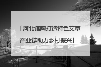 河北馆陶打造特色艾草产业链助力乡村振兴