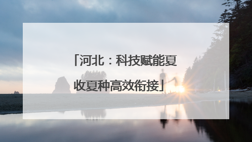 河北：科技赋能夏收夏种高效衔接