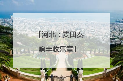 河北：麦田奏响丰收乐章