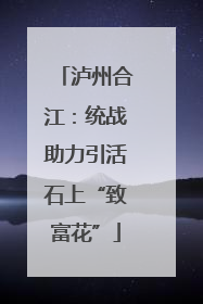 泸州合江：统战助力引活石上“致富花”