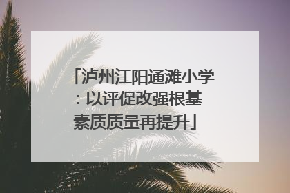 泸州江阳通滩小学：以评促改强根基 素质质量再提升