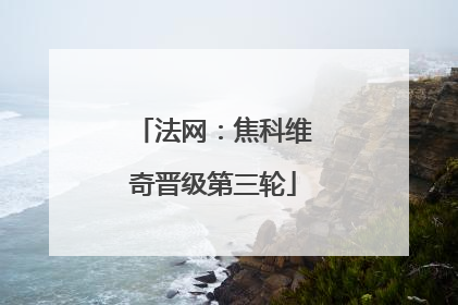 法网：焦科维奇晋级第三轮