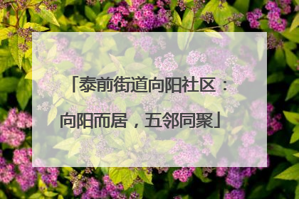 泰前街道向阳社区：向阳而居，五邻同聚