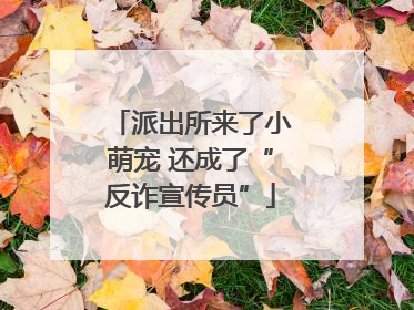 派出所来了小萌宠 还成了“反诈宣传员”