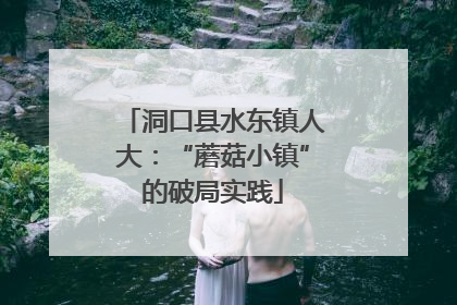 洞口县水东镇人大：“蘑菇小镇”的破局实践