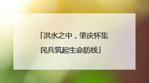 洪水之中，肇庆怀集民兵筑起生命防线