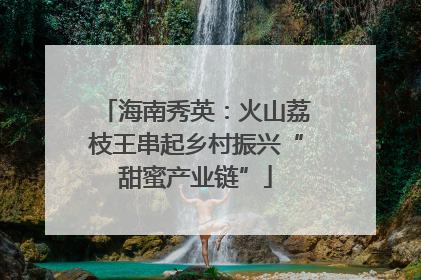 海南秀英：火山荔枝王串起乡村振兴“甜蜜产业链”