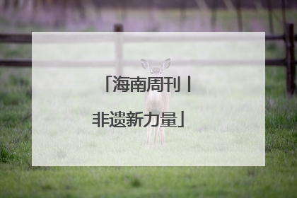 海南周刊丨非遗新力量