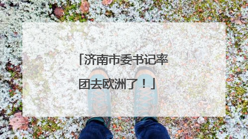 济南市委书记率团去欧洲了！