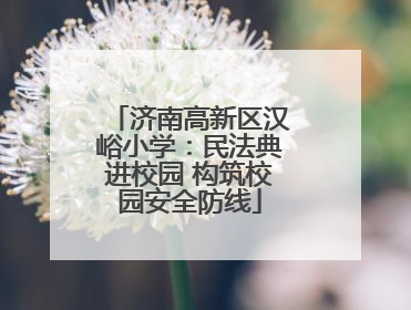 济南高新区汉峪小学:民法典进校园 构筑校园安全防线