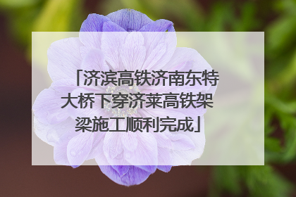 济滨高铁济南东特大桥下穿济莱高铁架梁施工顺利完成