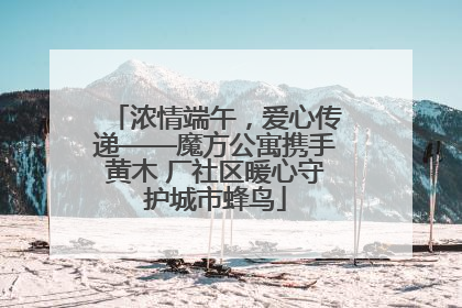 浓情端午，爱心传递——魔方公寓携手黄木 厂社区暖心守护城市蜂鸟