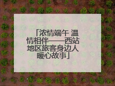 浓情端午 温情相伴——西站地区旅客身边人暖心故事