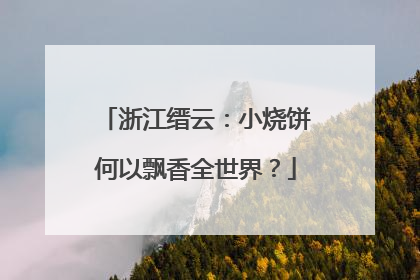 浙江缙云：小烧饼何以飘香全世界？