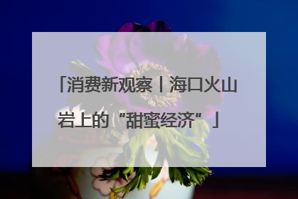消费新观察丨海口火山岩上的“甜蜜经济”