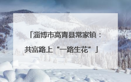 淄博市高青县常家镇：共富路上“一路生花”