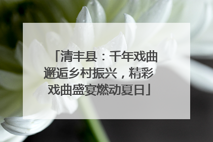 清丰县：千年戏曲邂逅乡村振兴，精彩戏曲盛宴燃动夏日