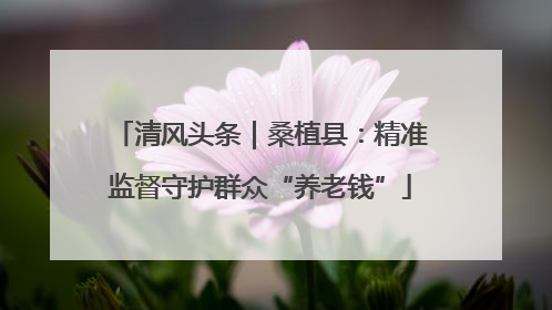 清风头条｜桑植县：精准监督守护群众“养老钱”