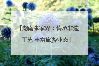 湖南张家界：传承非遗工艺 丰富旅游业态