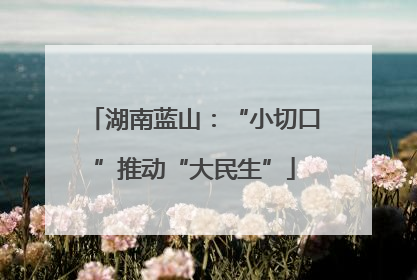 湖南蓝山：“小切口”推动“大民生”