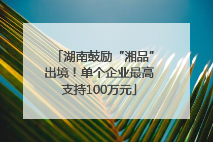 湖南鼓励“湘品”出境！单个企业最高支持100万元