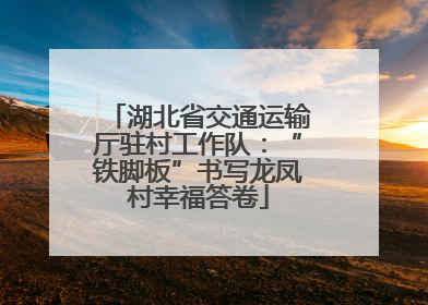 湖北省交通运输厅驻村工作队：“铁脚板”书写龙凤村幸福答卷