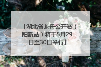 湖北省龙舟公开赛（阳新站）将于5月29日至30日举行