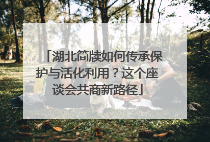 湖北简牍如何传承保护与活化利用？这个座谈会共商新路径