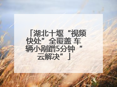 湖北十堰“视频快处”全覆盖 车辆小剐蹭5分钟“云解决”