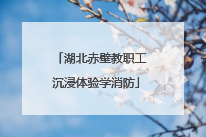 湖北赤壁教职工沉浸体验学消防