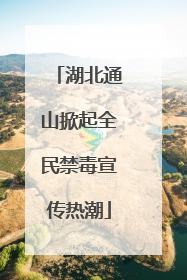 湖北通山掀起全民禁毒宣传热潮