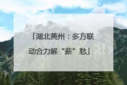 湖北黄州：多方联动合力解“薪”愁