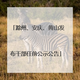 滁州、安庆、黄山发布干部任前公示公告