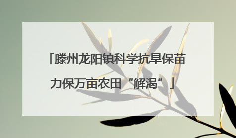 滕州龙阳镇科学抗旱保苗 力保万亩农田“解渴”