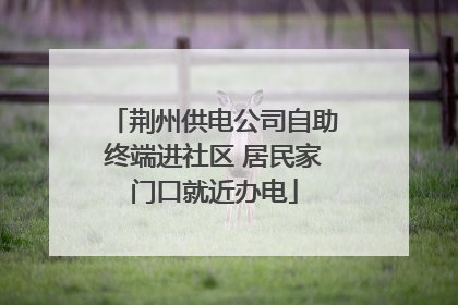 荆州供电公司自助终端进社区 居民家门口就近办电