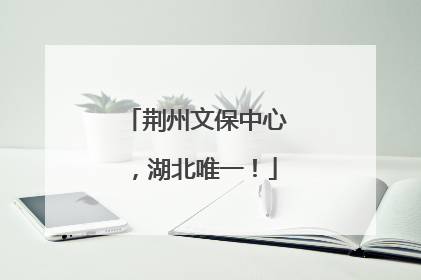 荆州文保中心，湖北唯一！