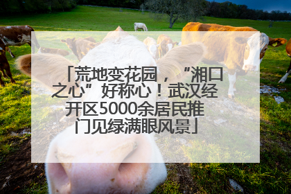 荒地变花园，“湘口之心”好称心！武汉经开区5000余居民推门见绿满眼风景