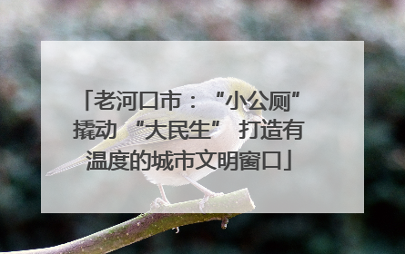 老河口市：“小公厕” 撬动 “大民生” 打造有温度的城市文明窗口